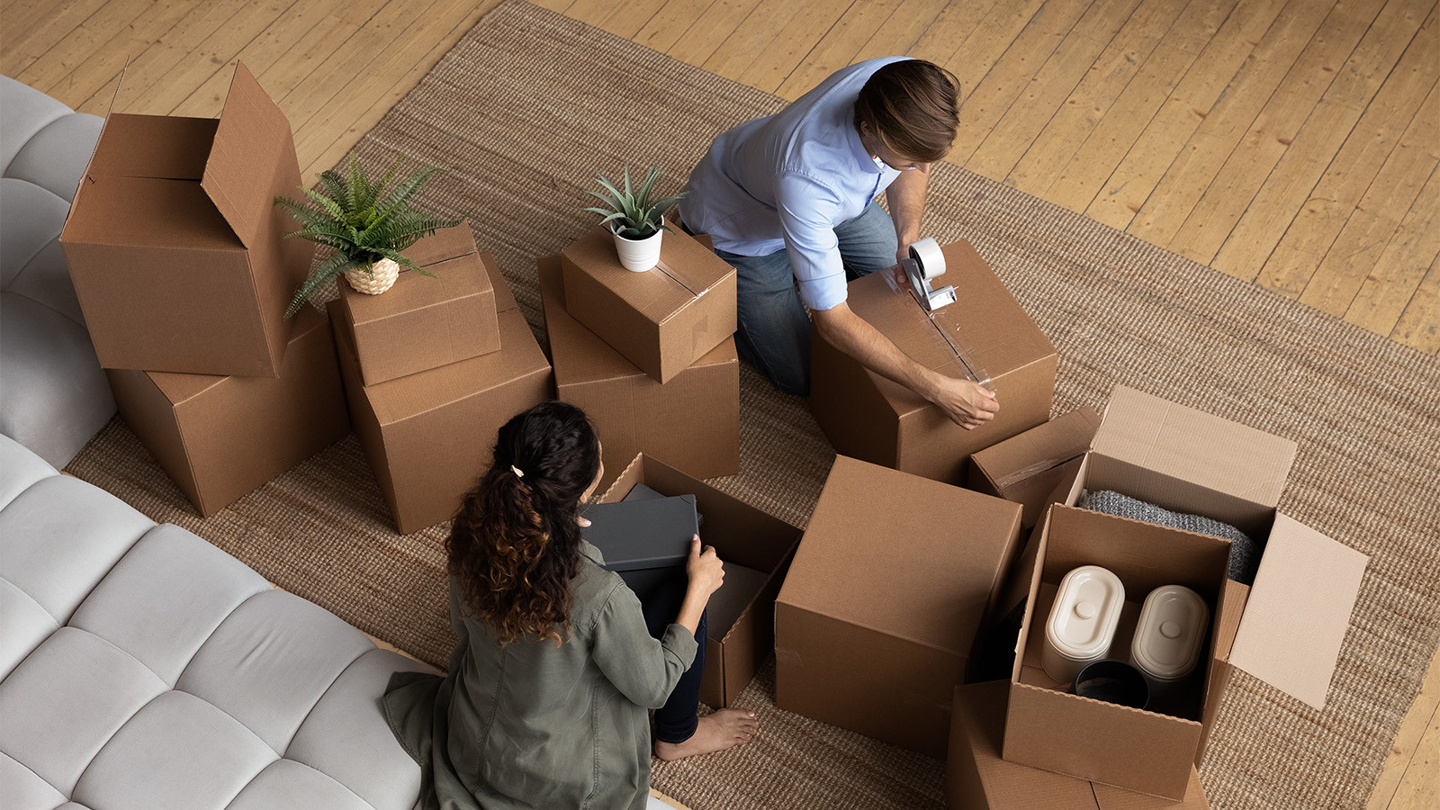 Landlords must ‘go in with eyes open’ under new rental reforms