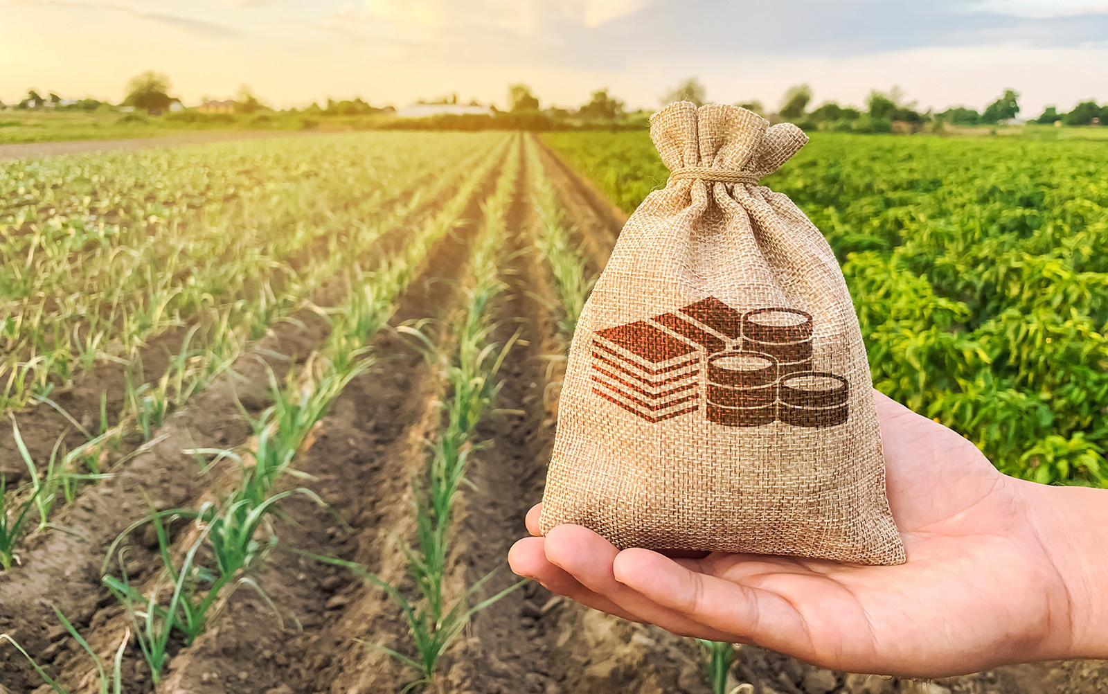 Inheritance Tax changes bring welcome relief to farmers – but more needs to be done